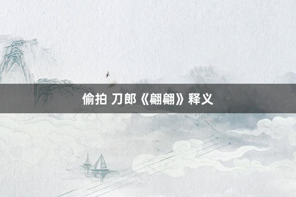 偷拍 刀郎《翩翩》释义