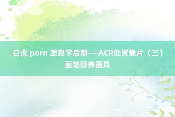 白虎 porn 跟我学后期——ACR处置像片（三）画笔颐养器具