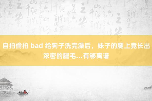 自拍偷拍 bad 给狗子洗完澡后，妹子的腿上竟长出浓密的腿毛...有够离谱