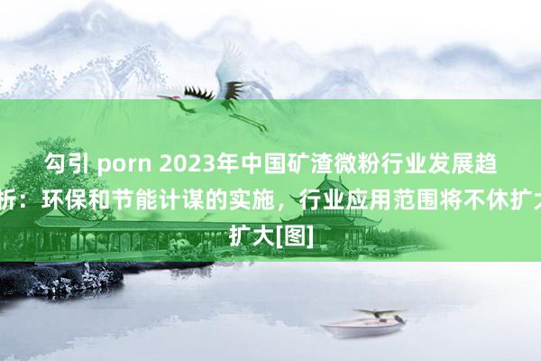 勾引 porn 2023年中国矿渣微粉行业发展趋势分析：环保和节能计谋的实施，行业应用范围将不休扩大[图]
