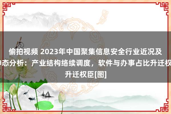 偷拍视频 2023年中国聚集信息安全行业近况及竞争神态分析：产业结构络续调度，软件与办事占比升迁权臣[图]