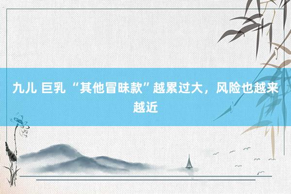 九儿 巨乳 “其他冒昧款”越累过大，风险也越来越近