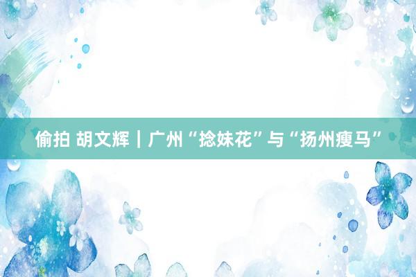 偷拍 胡文辉｜广州“捻妹花”与“扬州瘦马”