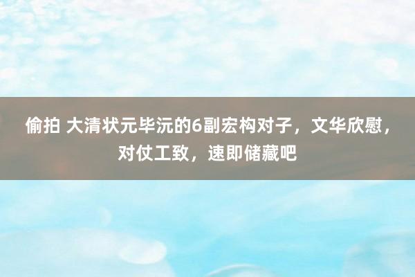 偷拍 大清状元毕沅的6副宏构对子，文华欣慰，对仗工致，速即储藏吧