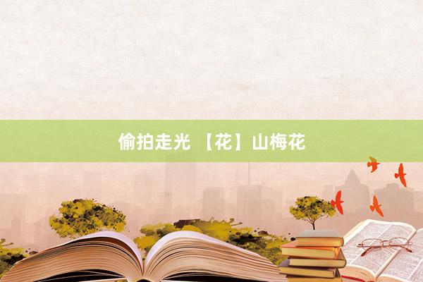 偷拍走光 【花】山梅花