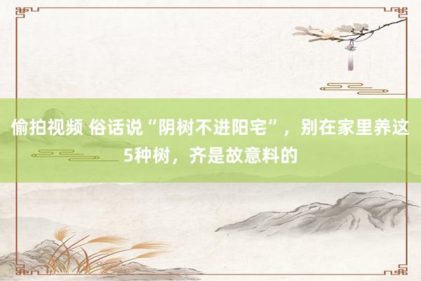 偷拍视频 俗话说“阴树不进阳宅”，别在家里养这5种树，齐是故意料的