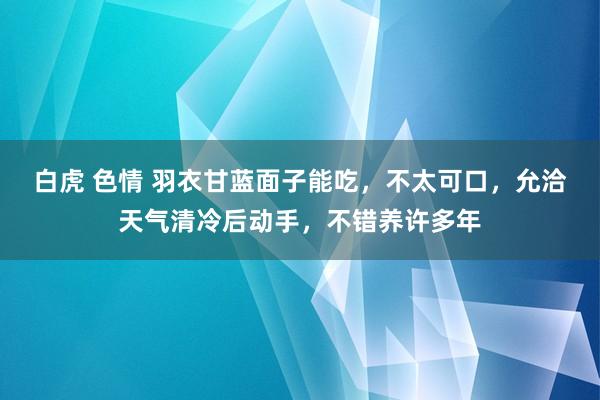 白虎 色情 羽衣甘蓝面子能吃，不太可口，允洽天气清冷后动手，不错养许多年