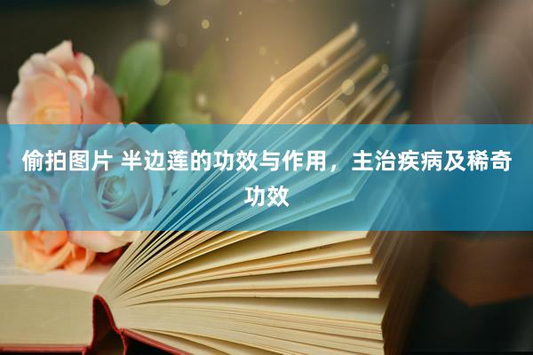 偷拍图片 半边莲的功效与作用，主治疾病及稀奇功效