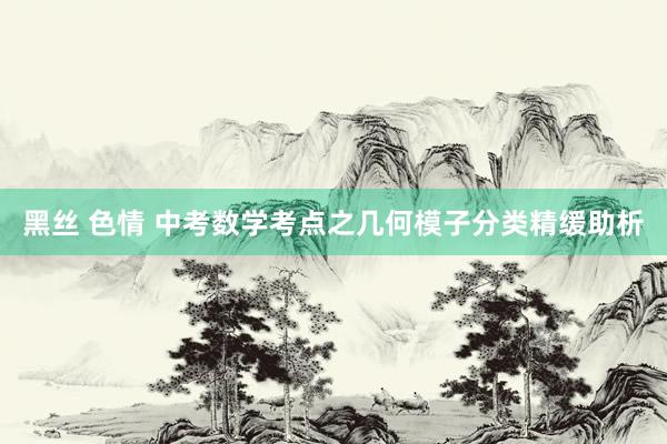 黑丝 色情 中考数学考点之几何模子分类精缓助析
