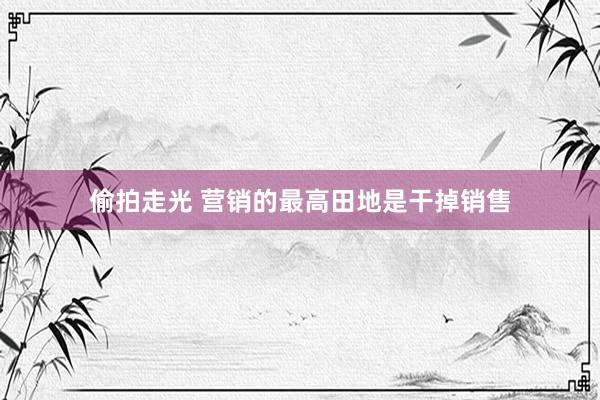 偷拍走光 营销的最高田地是干掉销售